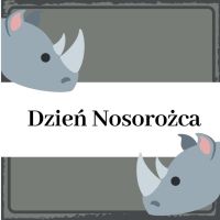 Nosorożec.jpg