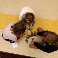 IMG_20241001_091736.jpg