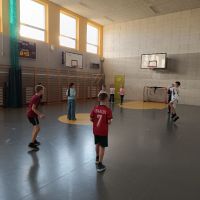 IMG_20241018_084346.jpg