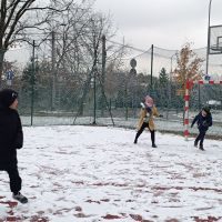 IMG_20241122_103306.jpg