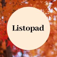 Zajęcia cykliczne - listopad
