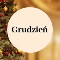 Zajęcia cykliczne - grudzień