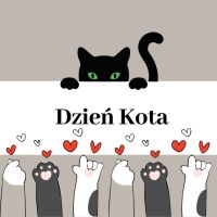 kot.jpg
