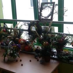 20161003_105137.jpg