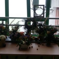 20161003_105132.jpg