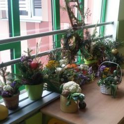 20161003_105123.jpg