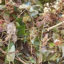 20161003_102408.jpg