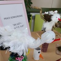 7b16ac46-d4cb-4cc9-9228-63c84f99cc35.jpg