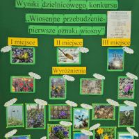 Wiosenne-przebudzenie-pierwsze-oznaki-wiosny