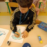 IMG_20250401_085543.jpg