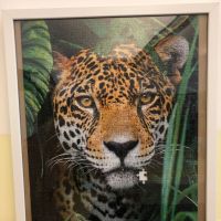 IMG_5514.JPG