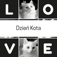 Dzień Kota.jpg