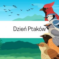 Dzień Ptaków.jpg