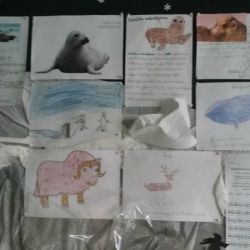 20170216_160443.jpg
