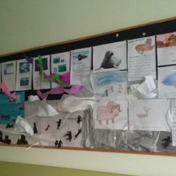 20170216_160439.jpg